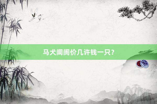 马犬阛阓价几许钱一只？